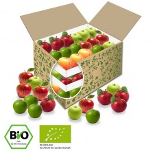 BIO Teambox Apfel